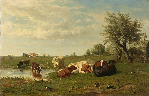 Cows in the meadow