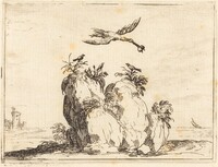Crane Flying