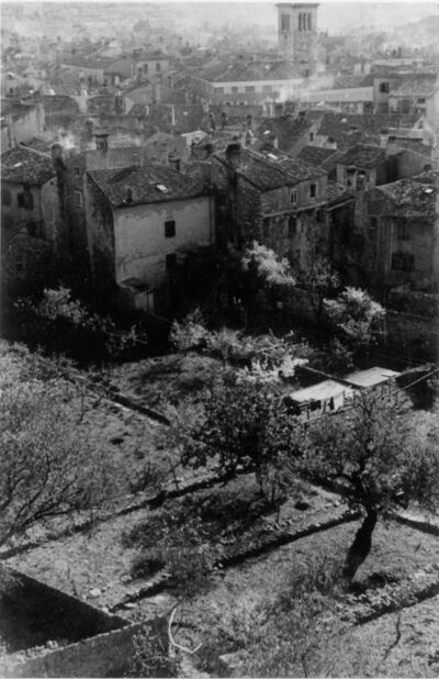 Cres, veduta „Drivenika“