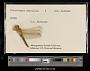 Crocothemis servilia