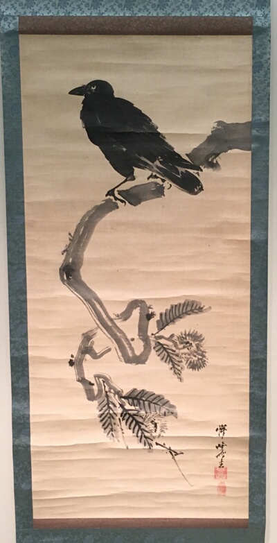 Crow on pine branch.