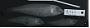 Cryptotomus roseus