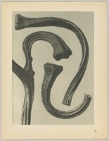 Cucurbita