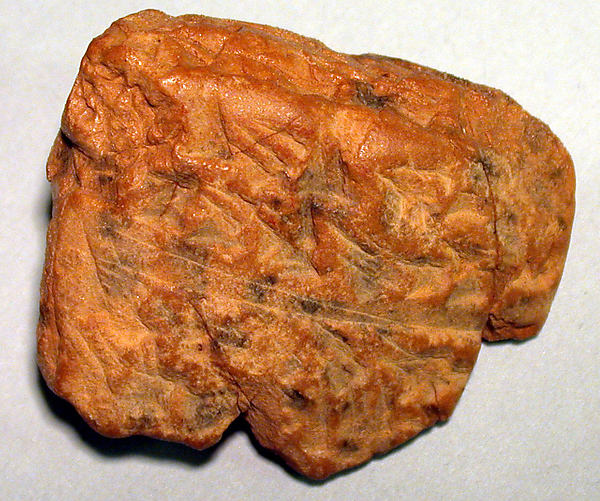 Cuneiform tablet: fragment, Ebabbar archive