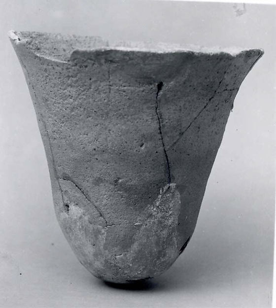 Cup