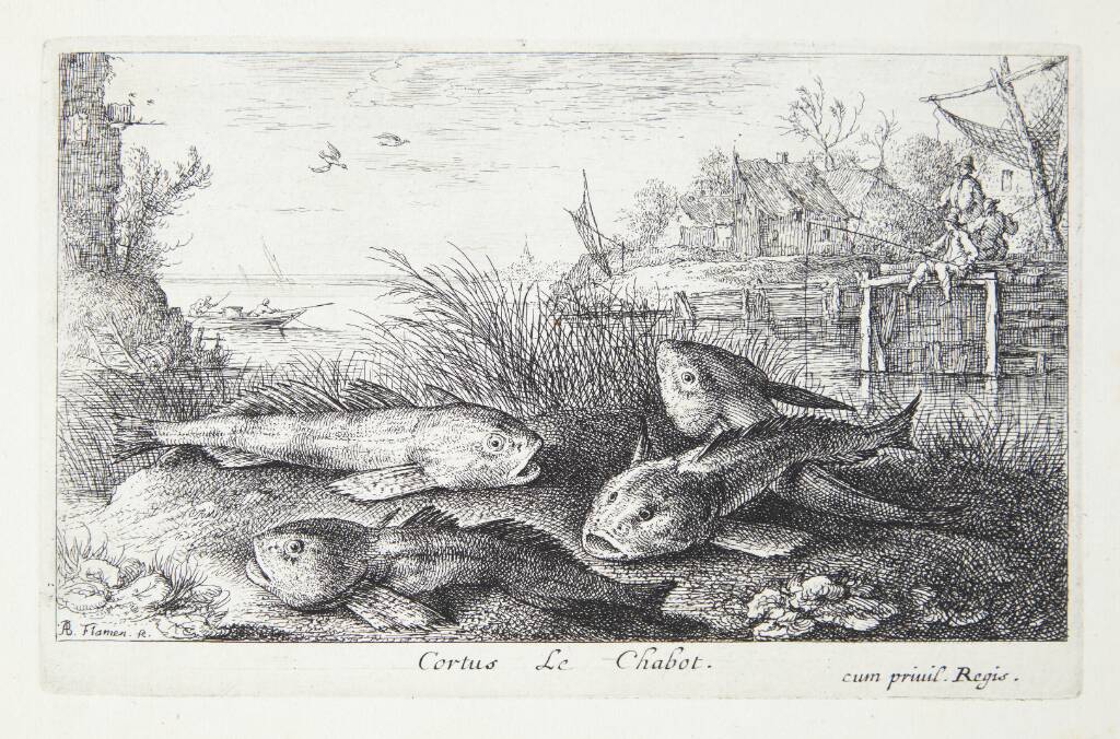 Døbel (Cortus)