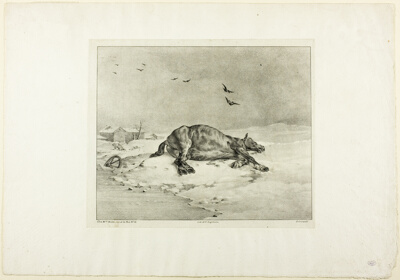 Dead Horse