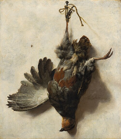 Dead partridge hanging from a nail