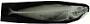 Decapterus afuerae