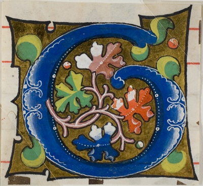 Decorated Initial "G" with Flowers from a Choir Book