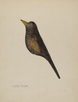 Decoy