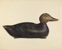 Decoy