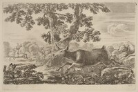 Deer Chased by a Dog to the Right