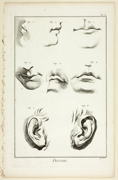 Design: Facial Anatomy from Encyclopédie