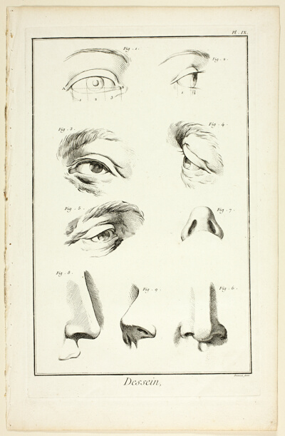 Design: Facial Anatomy from Encyclopédie