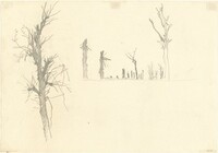 Devastated Trees [verso]