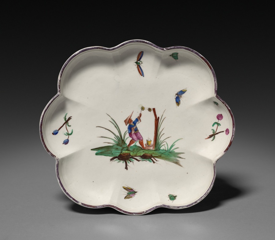Dish