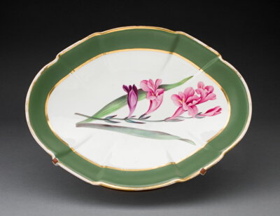 Dish