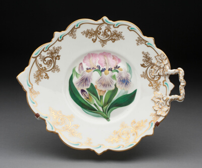 Dish