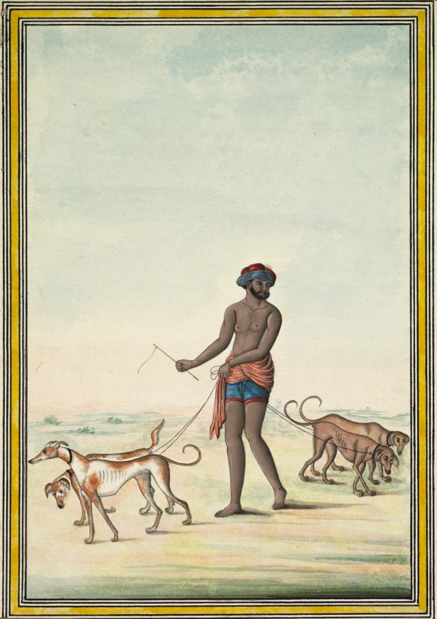 Dog Walker