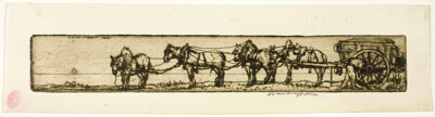 Draught Horses
