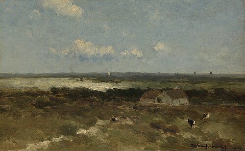 Dune landscape