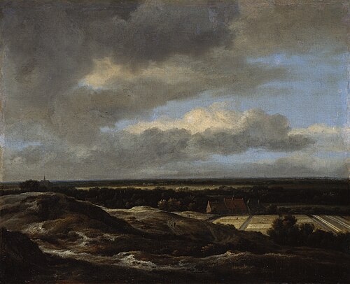 Dunes and bleaching fields