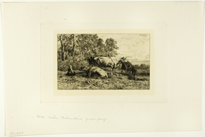 Dutch Cows