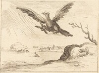 Eagle and Young