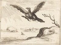 Eagle and Young