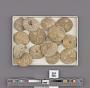 Echinoidea