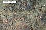 Eclogite