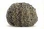 Eclogite