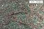 Eclogite