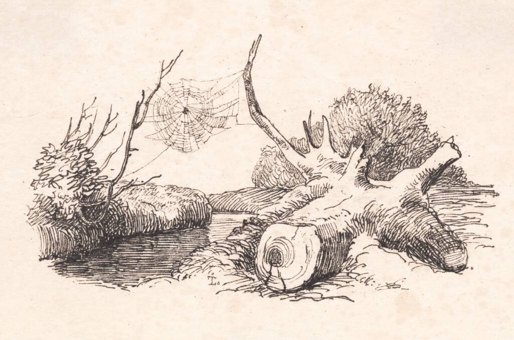 Edderkoppen