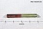 Elbaite
