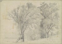 Elms, Hudson