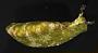 Elysia sp.