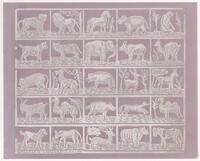 Endpaper with Animals