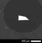 Erbium-phosphate