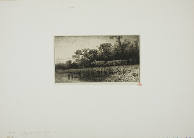Evening Landscape