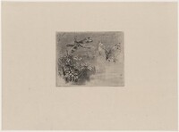 Ex-libris papillon et libellule