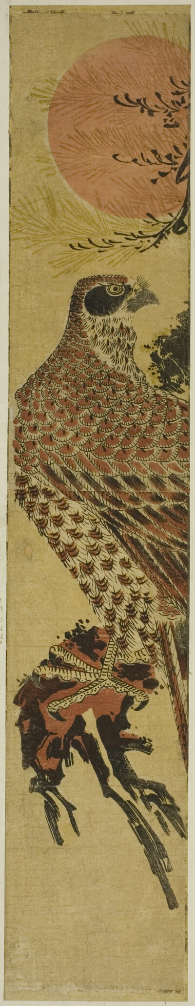Falcon at Sunrise