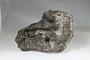 Fayalite