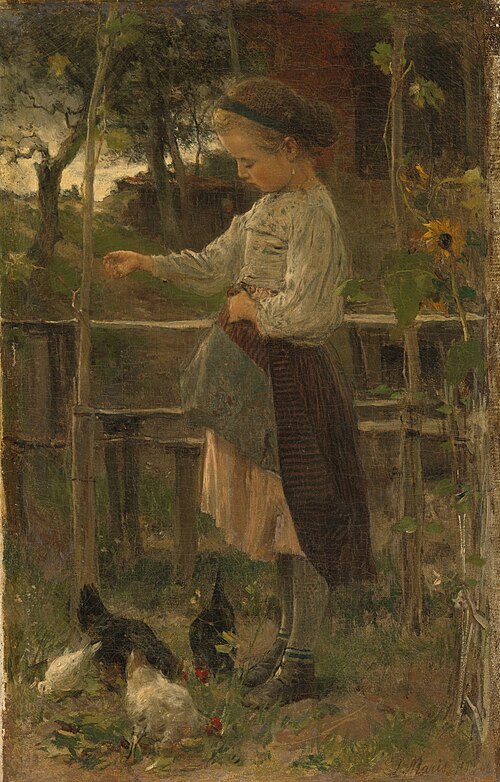 Feeding Chickens