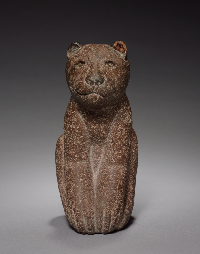Feline