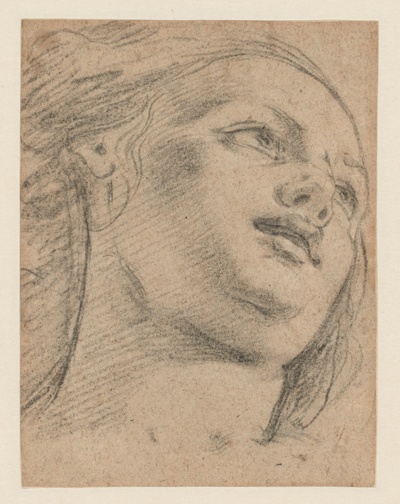 Female Head Study Looking Up to Right (recto); Study of Two Figures Supporting an Object (verso)