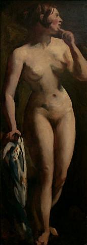 Female nude study