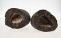 Ferruginous concretion