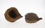 Ferruginous concretion